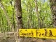 舞鳥祭2026【SWEET FIELD】
