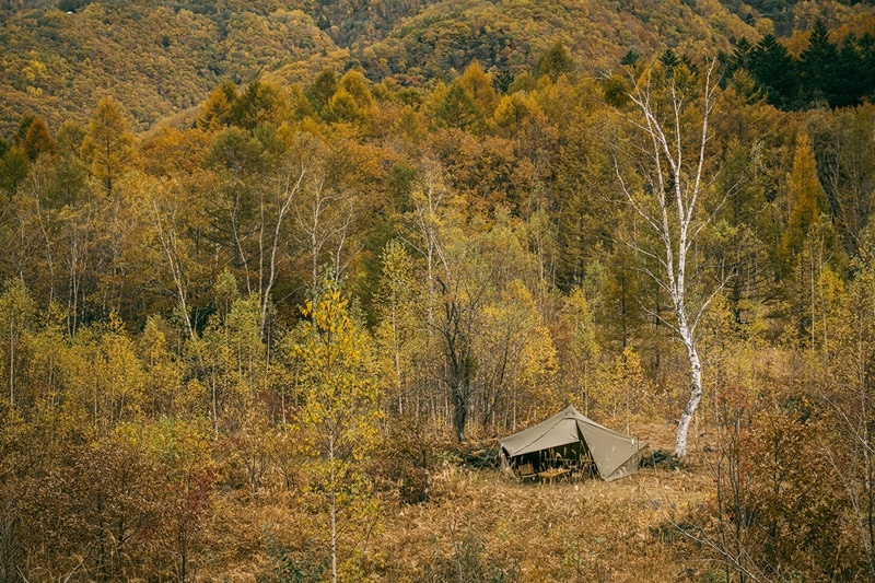 ZANE ARTS】GIGI-1 TC | RECOMMEND | ELNEST ONLINE