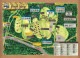舞鳥祭 2022【YAEI FIELD】