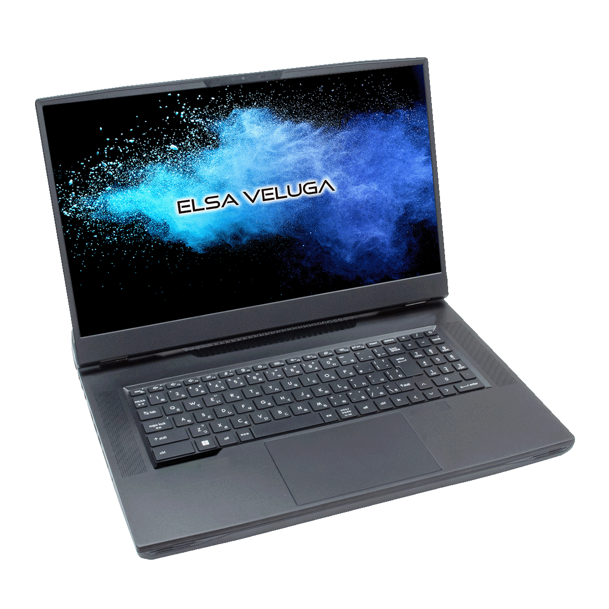 【台数限定特別価格】 ELSA VELUGA G5-NM 1750AM 17.3型 4K MiniLED 3840×2160(144Hz) モバイルワークステーション (Core i9-13980HX/NVIDIA RTX 5000 Ada/32GB/SSD 1TB/Win 11 Pro)　