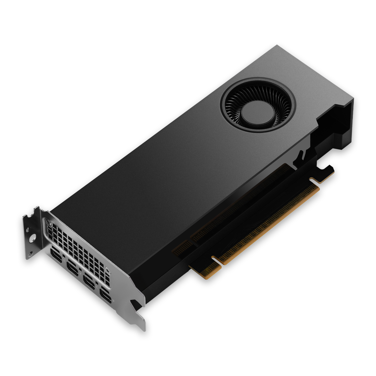 【2～3営業日出荷（土日除く）】 NVIDIA RTX PRO 2000 Blackwell ENQRP2000B-16GER