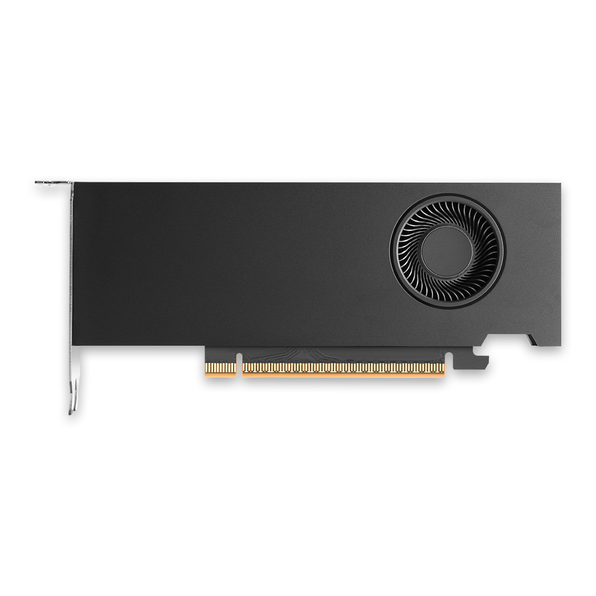 【2～3営業日出荷（土日除く）】 NVIDIA RTX PRO 2000 Blackwell ENQRP2000B-16GER