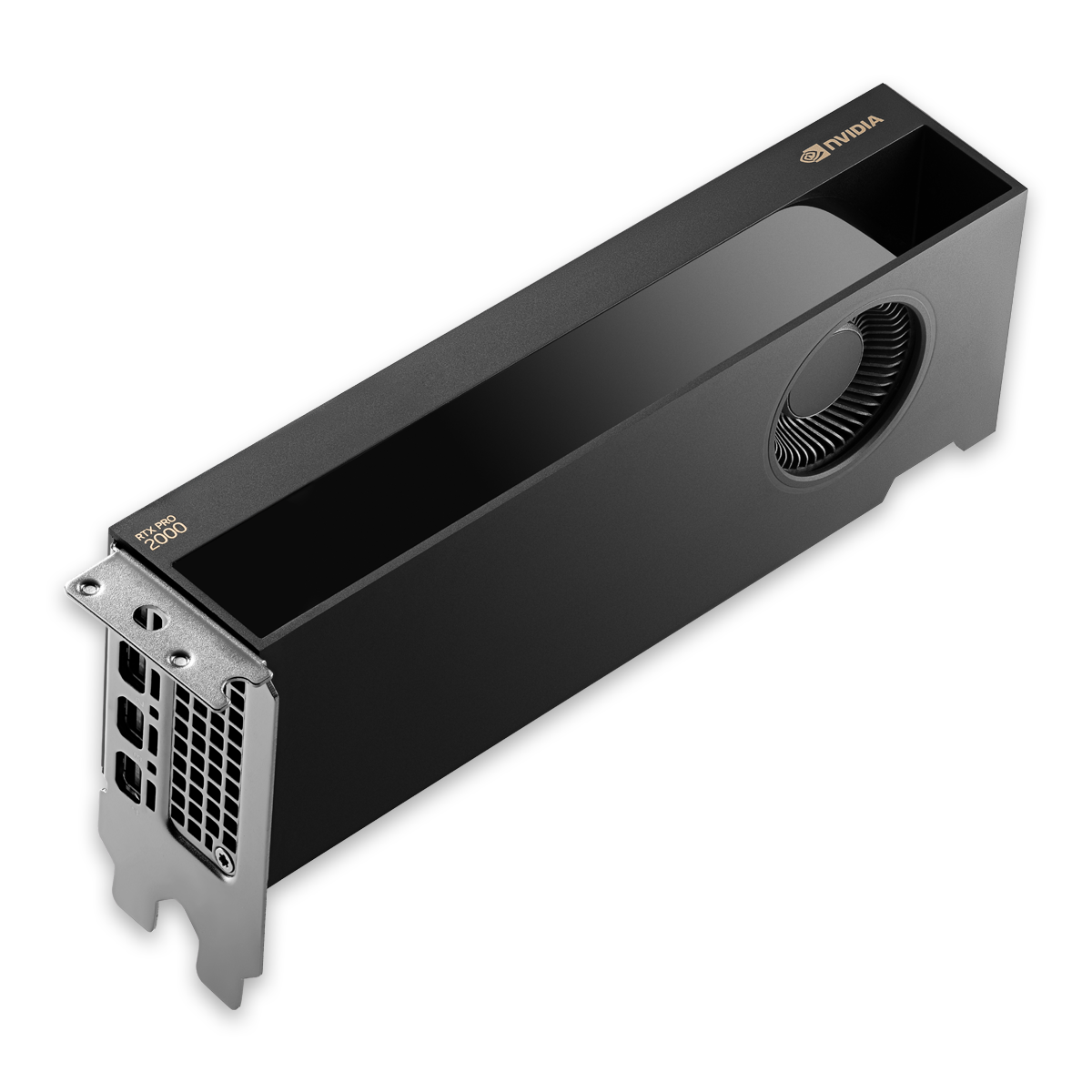 【2～3営業日出荷（土日除く）】 NVIDIA RTX PRO 2000 Blackwell ENQRP2000B-16GER