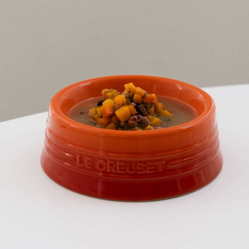 ナチュラルペットフード『Ishca』 関節ケアタイプ