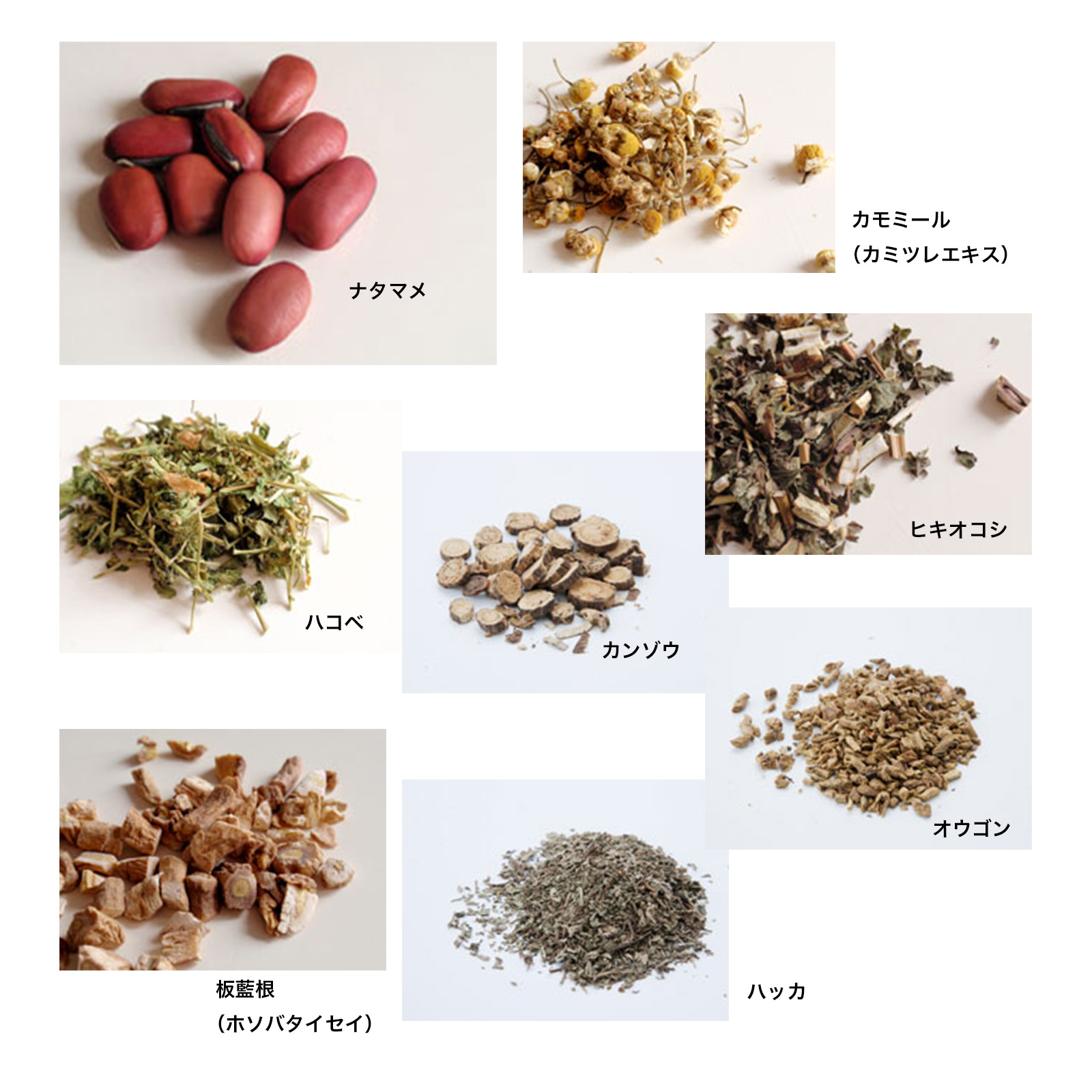 京カエル　歯ぐきも歯磨き粉