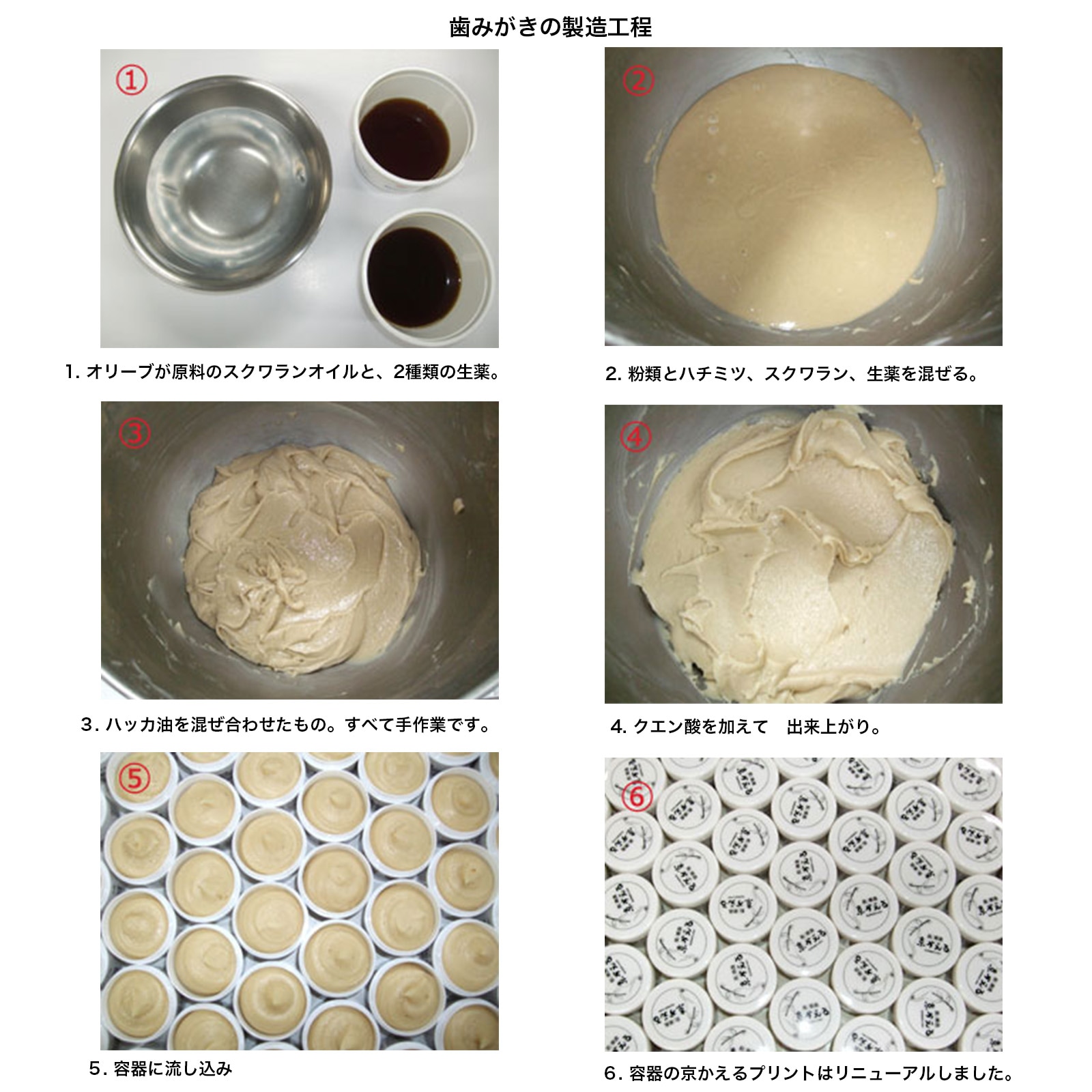 京カエル　歯ぐきも歯磨き粉