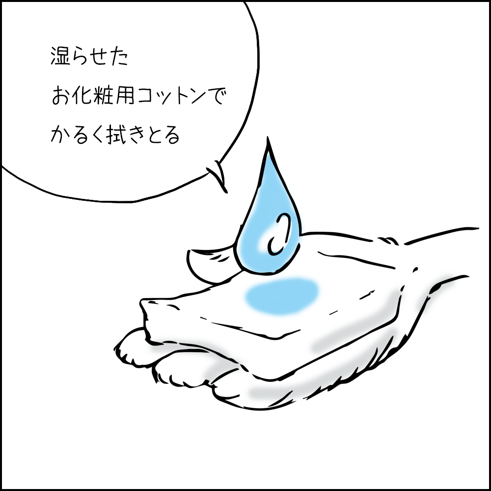 クレンジング＆モイスチャー | the WATER | ムラキテルミのセレクト