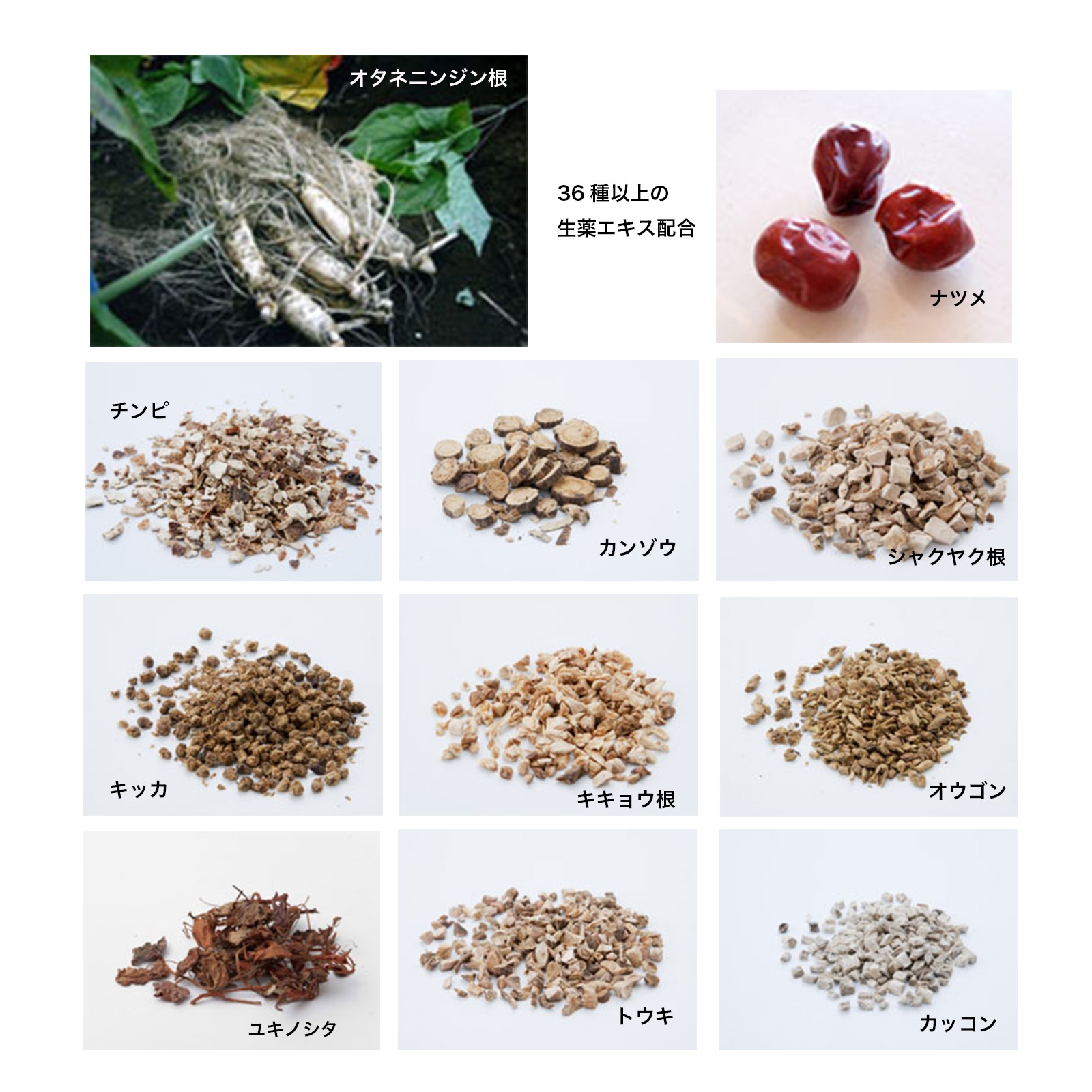 京カエル　肌：断食石鹸