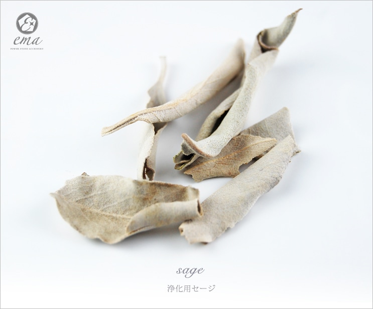 �ھ������å��� �ۥ磻�ȥ����� ������