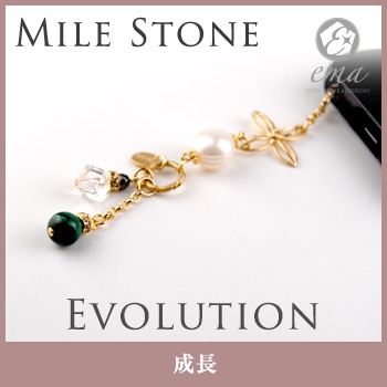 �ޥ饫���� ���ȥ�å� ����ۥ󥸥�å����������꡼��ema�� �ѥ���ȡ���  ��Evolution-��Ĺ-�� �ޥ饫���� �� �إޥ����� ŷ����