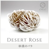 1����� ���� �ѥ���ȡ��� �������� �ǥ����ȥ����� ���� ŷ���� ���ȡ��󥢥ꥦ����