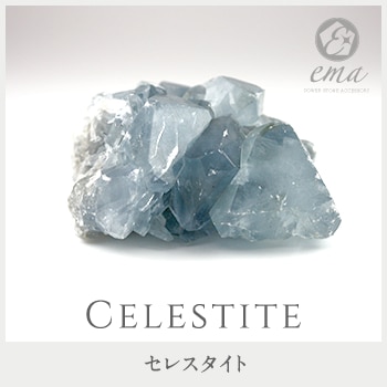 1����� ���� �ѥ���ȡ��� ���쥹������ ���� ŷ���� ���ȡ��󥢥ꥦ����