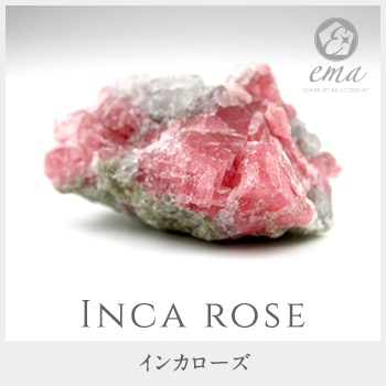 1����� ���� �ѥ���ȡ��� ���󥫥����� ���� ŷ���� ���ȡ��󥢥ꥦ����