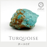 1����� ���� �ѥ���ȡ��� ���������� ���� 12�������� ŷ���� ���ȡ��󥢥ꥦ����