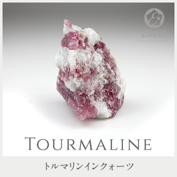 1����� ���� �ѥ���ȡ��� �ȥ�ޥ�󥤥󥯥����� �ȥ�ޥ�� ���� ŷ���� ���ȡ��󥢥ꥦ����