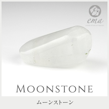 1����� ���� �ѥ���ȡ��� �֥롼�ࡼ�󥹥ȡ��� ���� ŷ���� ���ȡ��󥢥ꥦ����