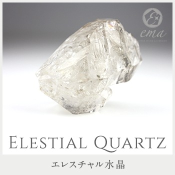 1����� ���� �ѥ���ȡ��� ���쥹�����徽 ���� ŷ���� ���ȡ��󥢥ꥦ����