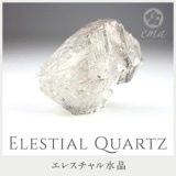 1����� ���� �ѥ���ȡ��� ���쥹�����徽 ���� ŷ���� ���ȡ��󥢥ꥦ����