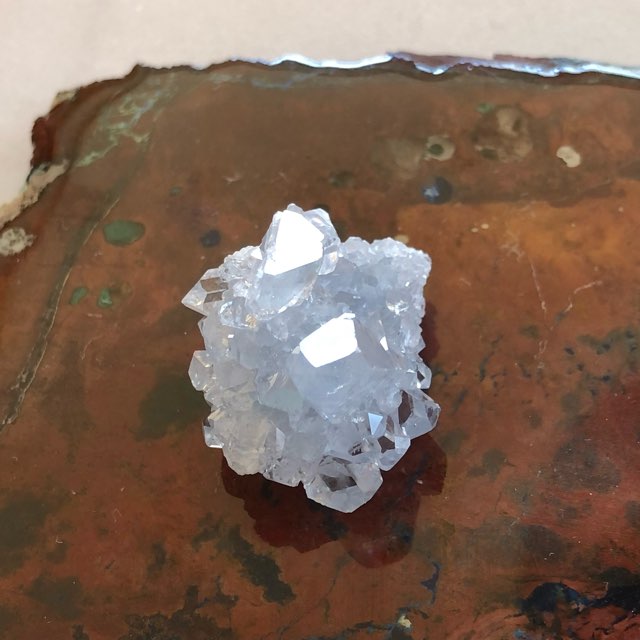 ��ĶƩ�������Сۥޥ��������뻺�����쥹�����ȡ����С�NO.447