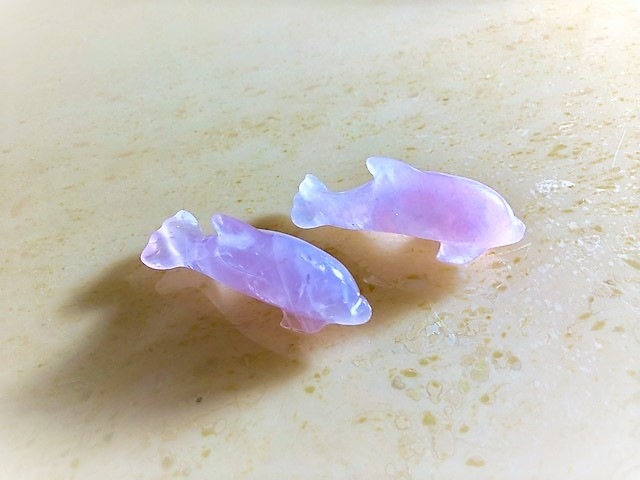 �����Сۥ������������Ĥ�������������Сʥɥ�ե����