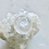 �����Сۥ����ꥹ�������ġ�������徽�˴ݶ̡�ľ��21��������¤Ĥ���