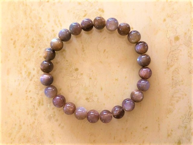 ��Ķ���������Сۥ֥饦�󡡥��󡡥ࡼ�󥹥ȡ���8�С��֥쥹��å�