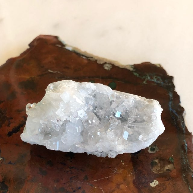 ĶСۥޥ뻺쥹ȡƥꥢѡ֤СNO.684