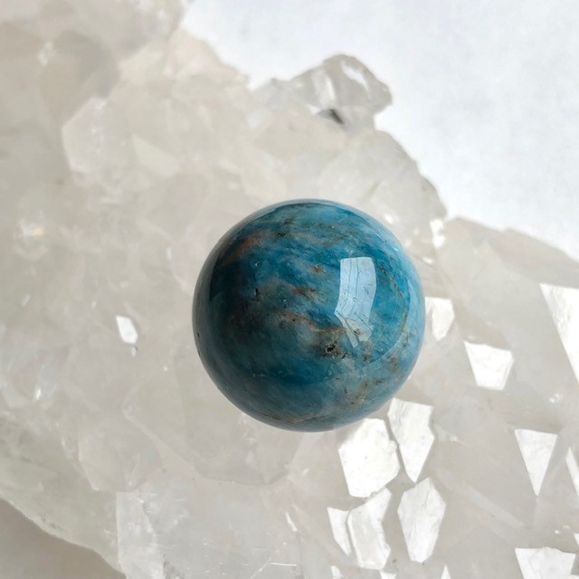 ��Ķ���Сۥ֥롼���ѥ����ȡ�20�������ݶ̡���¤Ĥ��ˡ�NO.2