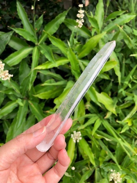 ��Ķ���Сۥ졼�������ꥹ��������