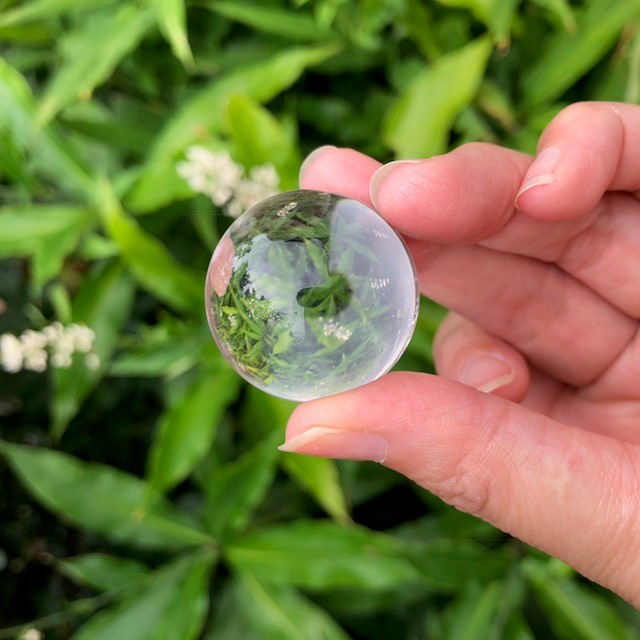 ��Ķ���Сۿ徽���ݶ̡�ľ��30��