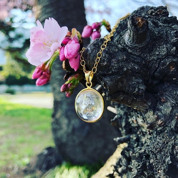 �ڥġ����󡦴����ۥ��쥹�����徽���ڥ�����