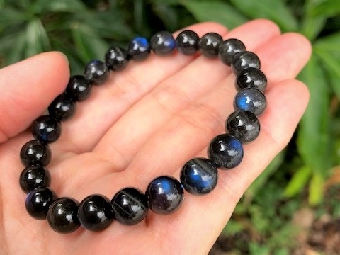 ��Ķ���С��쥢�ۥ֥�å���֥�ɥ饤�ȡ�8�������֥쥹��å�