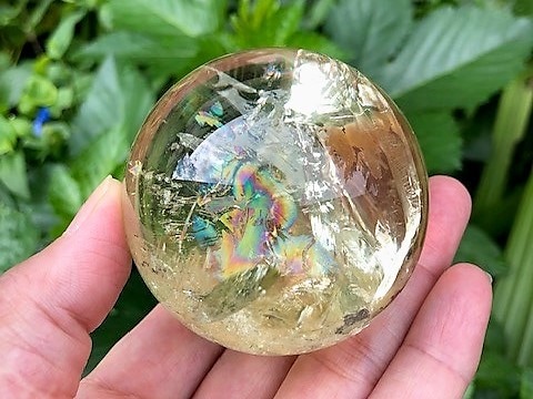 ��Ķ���С������Ǥ롡���ȥ�󡡴ݶ̡ʥ��ե�����