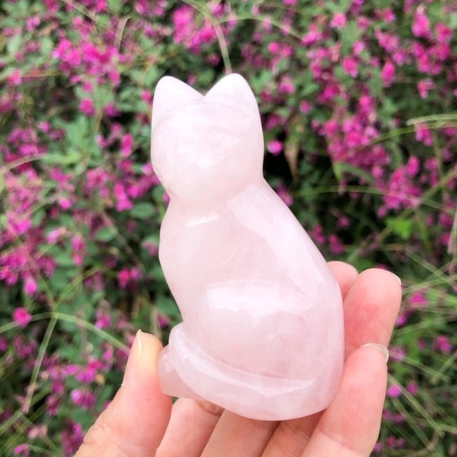 �����С���������󤻤뾷��ǭ���������