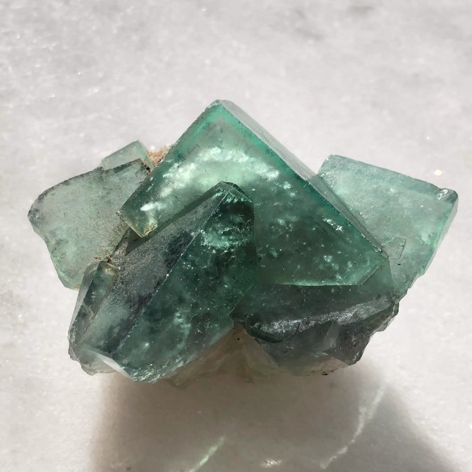 �����Сۡڥ쥢�ۥ����ꥹ�������꡼��ե����饤�ȸ��С��ʷָ������ס�