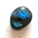 �����Сۥ�֥�ɥ饤�ȡ������С�NO.01