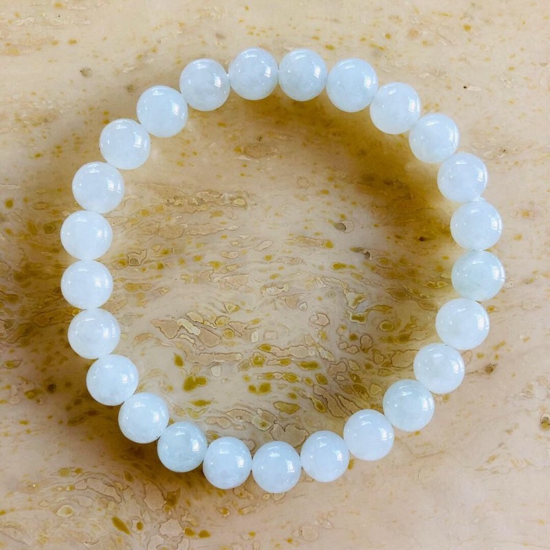 ��Ķ���С����̽�Ĥ������ǿ顡8�������֥쥹��å�