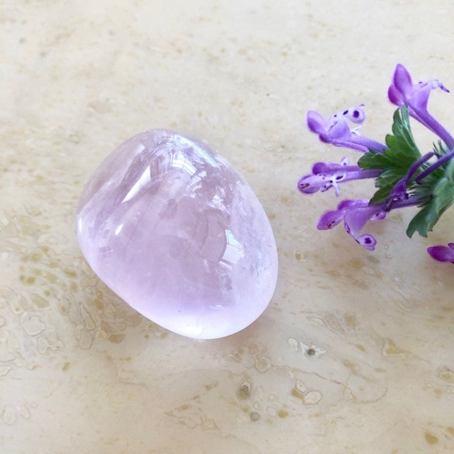 �����Сۥ������������ĤΤ�����С�NO.��