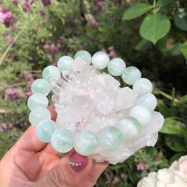 �ڥ쥢�����С������ꡡ���꡼��ե����饤�ȡ����󡡥������ġ�12�������֥쥹��å�