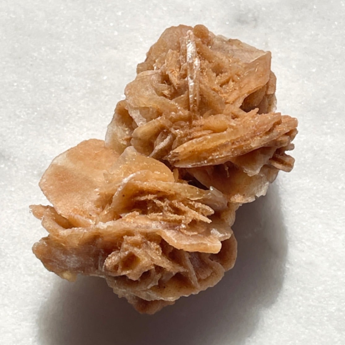 砂漠の石 砂漠の薔薇（デザートローズ） モロッコ・サハラ砂漠 産 ｜石の