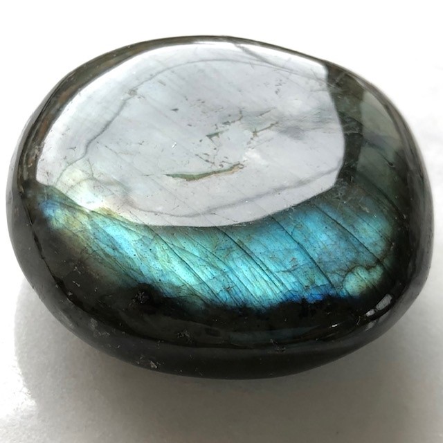 �ڥġ�����Ķ���Сۥ�֥�ɥ饤�ȡ������С�NO.09042�ʥѡ��ץ�ˡ�ŷ��ͳ��η��ߤ����