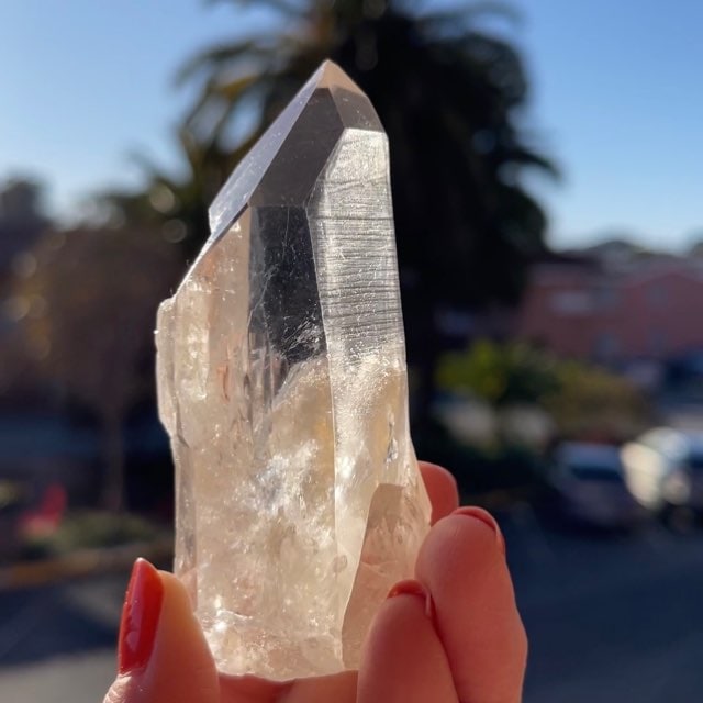 ��Ķ���Сۡڥ쥢�ۥ֥饸�롡�ߥʥ������饤�����������ꥢ�󥷡��ɡ�������ˡʥ֥�å��������ġ�