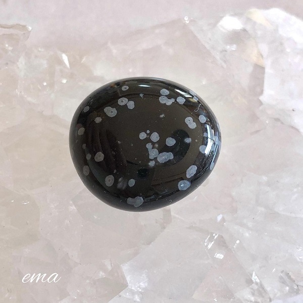 �����Сۥ��Ρ��ե졼�����֥��ǥ����󡡥���֥�