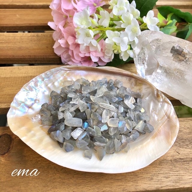 �����Сۥ�֥�ɥ饤�ȡ��������С�50�硡�ʢ��̿���100��ǻ��ơ�