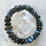 ��Ķ���Сۥ�֥�ɥ饤�ȡ�����֥롡�֥쥹��å�