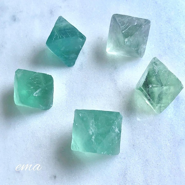 ��������ۡ����Сۥ��꡼�󡡥ե����饤�ȡ�Ȭ���Ρ����Сʤ�����ϥ֥�å��饤�ȤǸ���ʤ������ס�