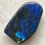 ��Ķ���С��쥢�ۥ�֥�ɥ饤�ȡ�������֤��С�NO.2