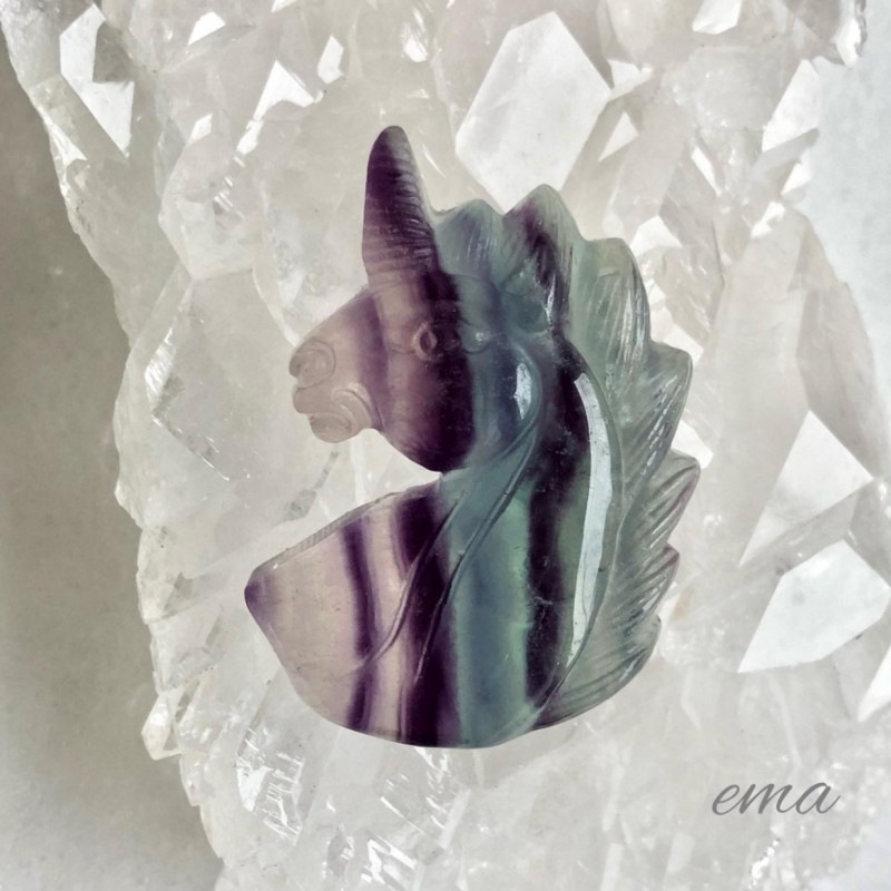 ���������ܤǥ����塼���ȡۡڴ����ǥ�����ۡڥ쥢�ۥ�˥�����Υ�����ա��ե����饤�ȡ�����֥�ʽĥ���ǡ�������