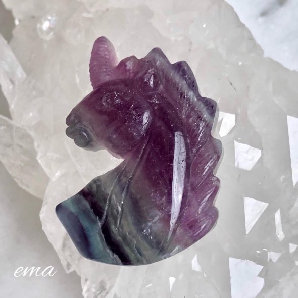 �ڴ����ǥ�����ۡڥ쥢�ۥ�˥�����Υ�����ա��ե����饤�ȡ�����֥�ʼФᥰ��ǡ�������