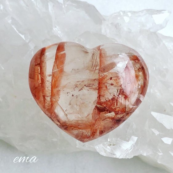 ��Ķ���Сۥҥޥ�仺���إޥ����ȥ��󥯥����ĤΥϡ��ȡ�������С�NO.3113�ʥݡ����Ĥ���